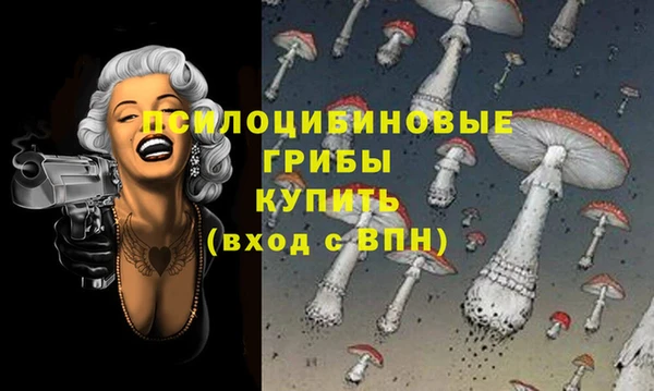 гидра Армянск