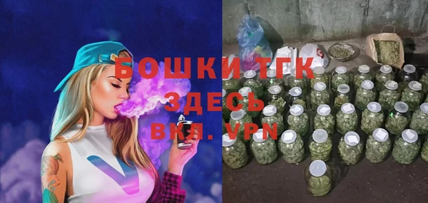 гидра Армянск
